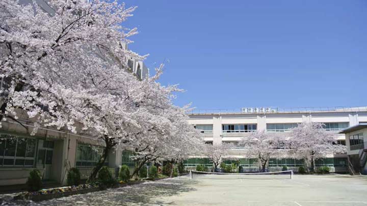 菊華高等学校の写真