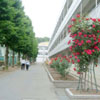 群馬県立高崎高等学校の写真